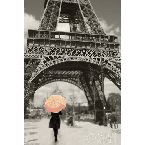 Paris in the Rain II