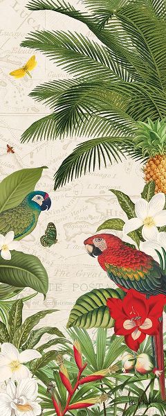 Parrot Paradise VII