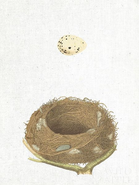 Spring Nest III