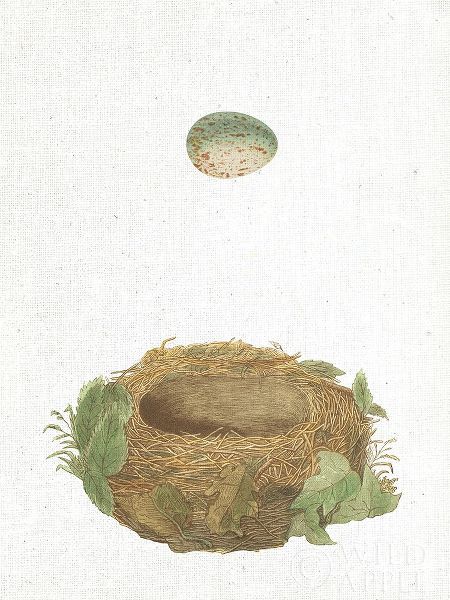 Spring Nest IV