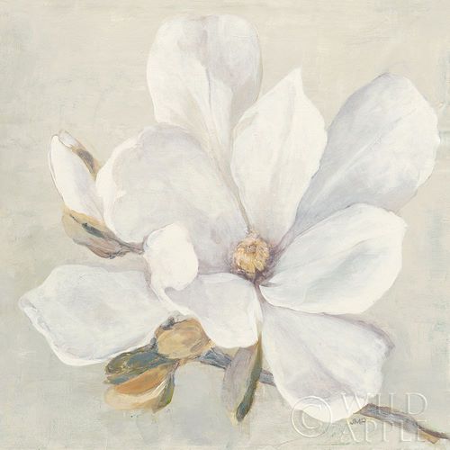 Serene Magnolia