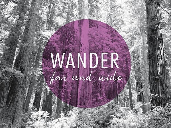 Wander Far and Wide v2