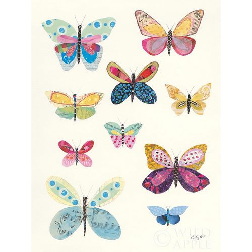 Butterfly Charts I
