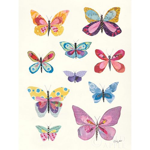 Butterfly Charts II
