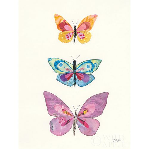 Butterfly Charts III