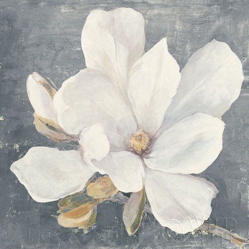 Serene Magnolia Gray