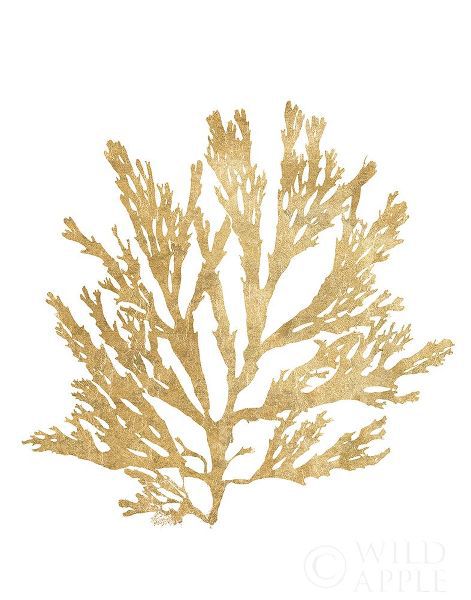 Pacific Sea Mosses I Gold