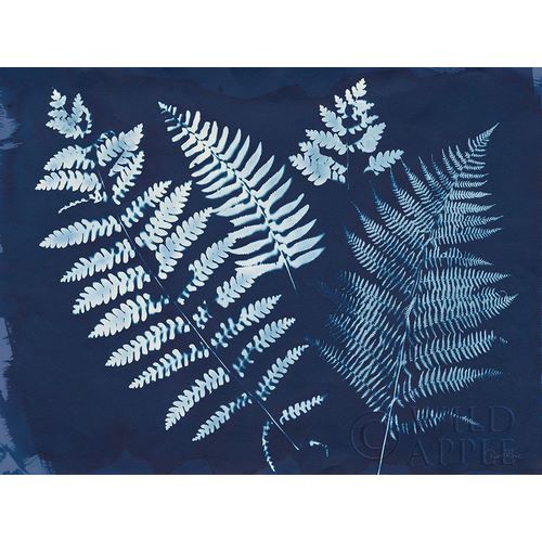 Nature By The Lake - Ferns II