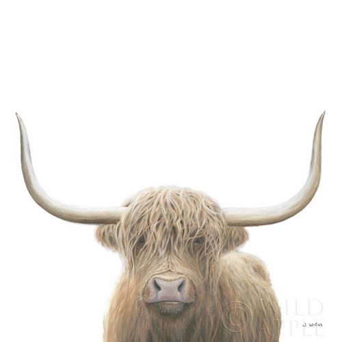 Highland Cow Sepia Sq