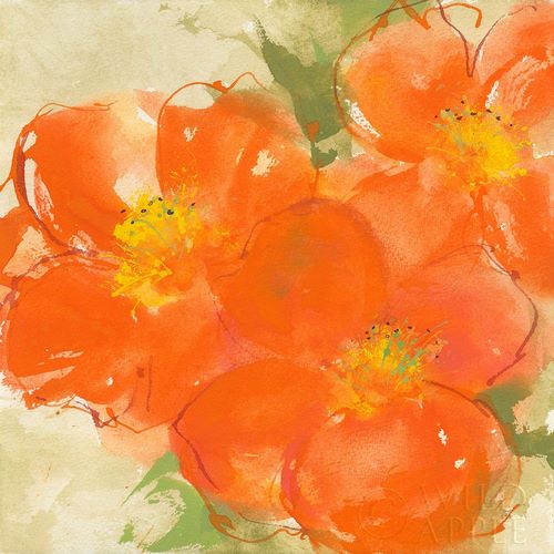 Tangerine Poppies II