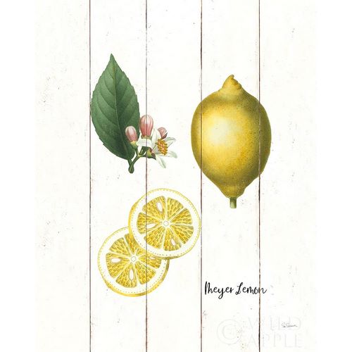 Cottage Lemon II