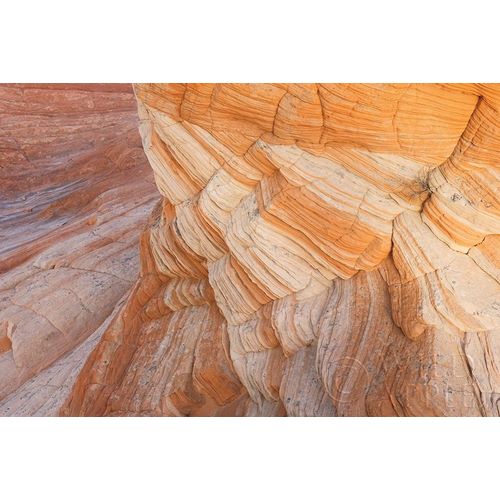 Coyote Buttes VII