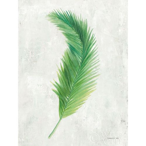 Palms of the Tropics VI