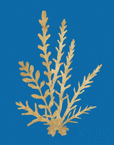 Pacific Sea Mosses III Blue