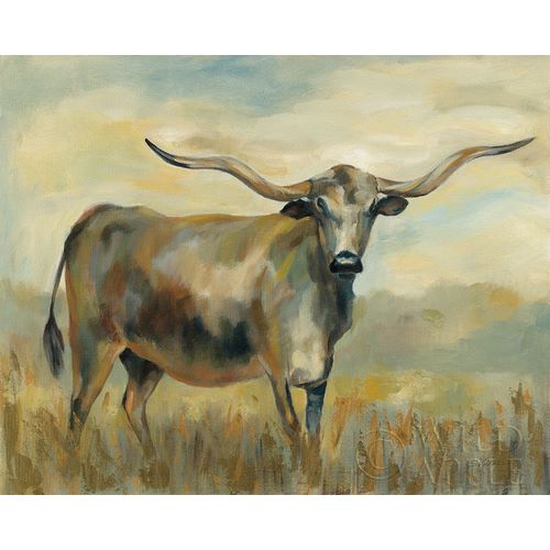 Longhorn Cow