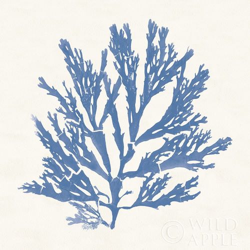 Pacific Sea Mosses I Light Blue