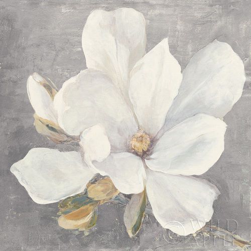 Serene Magnolia Light Gray