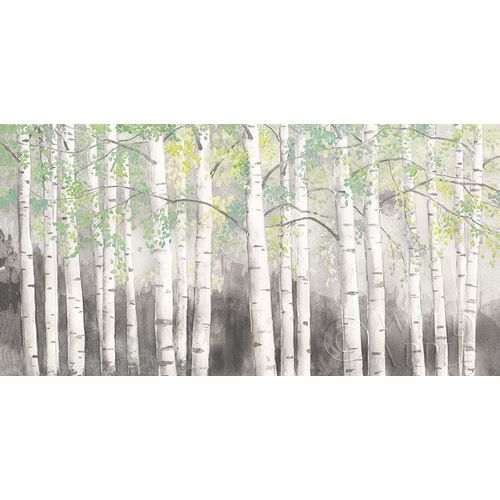 Soft Birches Charcoal