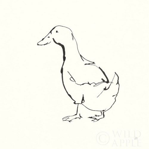 Line Duck I