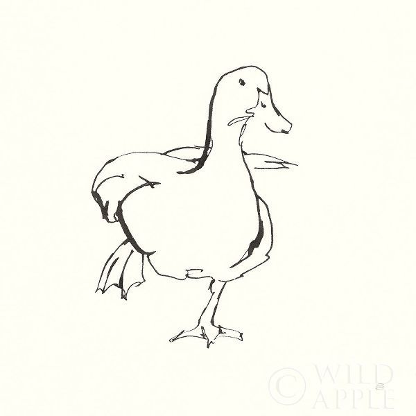 Line Duck II