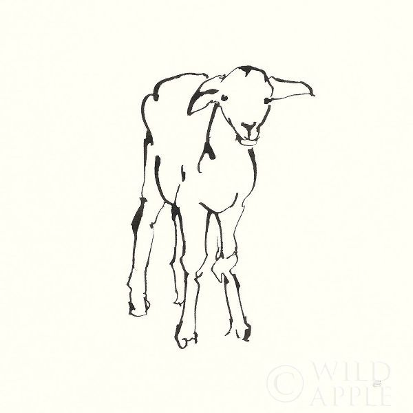 Line Lamb