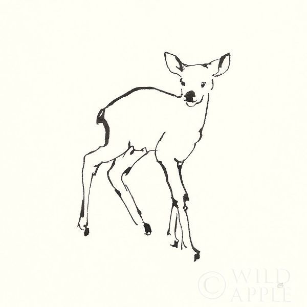 Line Fawn