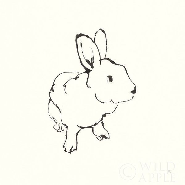 Line Bunny II