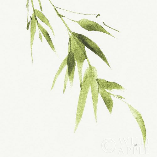 Bamboo VI Green