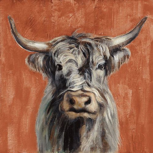 Highland Cow on Terracotta