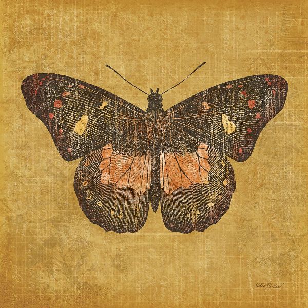 Pertiet, Katie 아티스트의 Ochre Butterfly작품입니다.