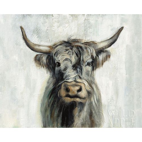 Highland Cow Horizontal