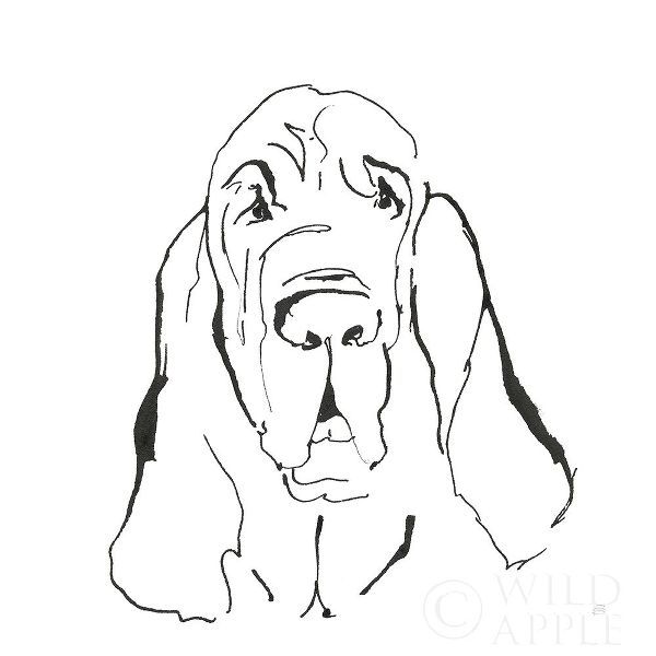 Line Dog Bloodhound I