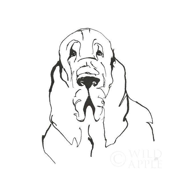 Line Dog Bloodhound II