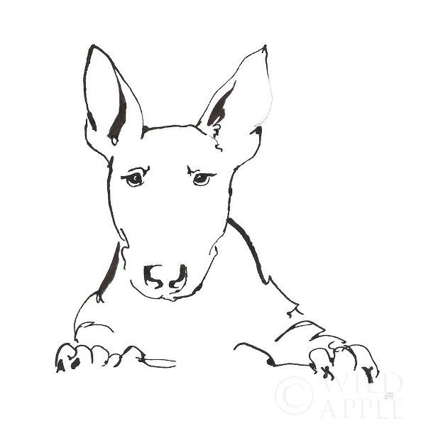 Line Dog Bull Terrier