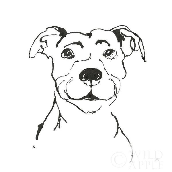 Line Dog Pitbull I