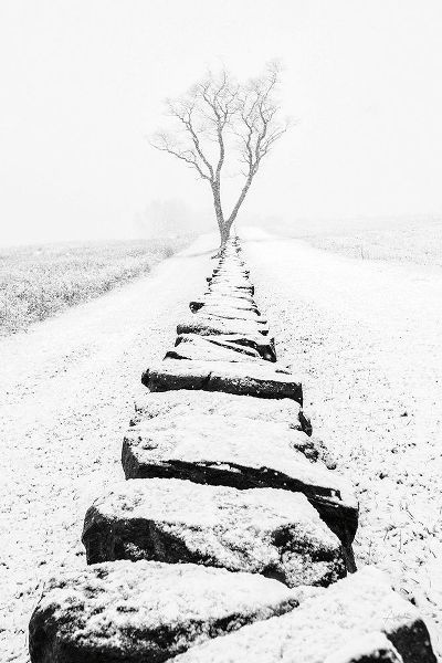 Aledanda 아티스트의 Snowy Stone Wall작품입니다.