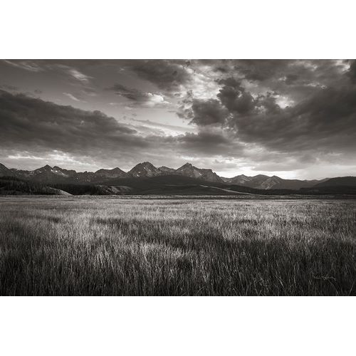 Majchrowicz, Alan 아티스트의 Stanley Basin Sawtooth Mountains Idaho작품입니다.
