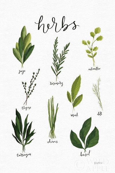 Herbs I White