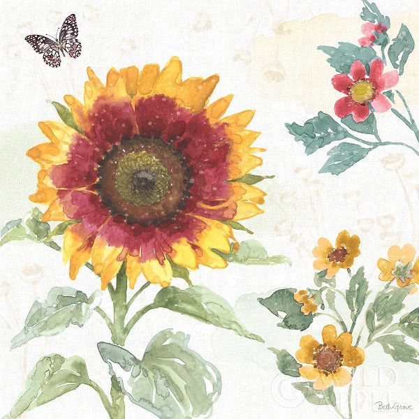 Sunflower Splendor VII