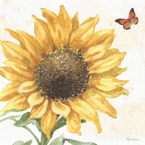 Sunflower Splendor IX