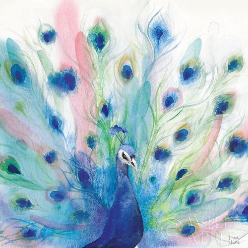 Peacock Glory IV