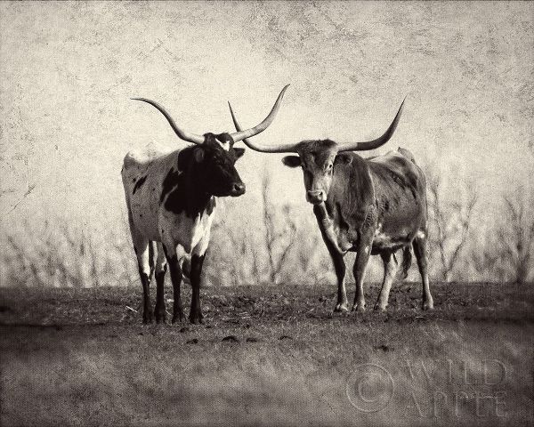 Van Swearingen, Debra 아티스트의 Texas Longhorns 작품