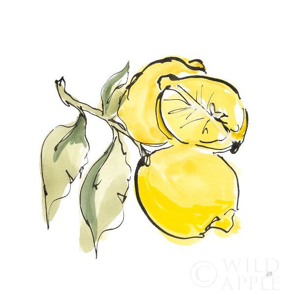 Lemon Still Life II