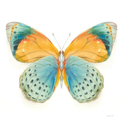 Nai, Danhui 아티스트의 Fragile Wings Butterfly I작품입니다.