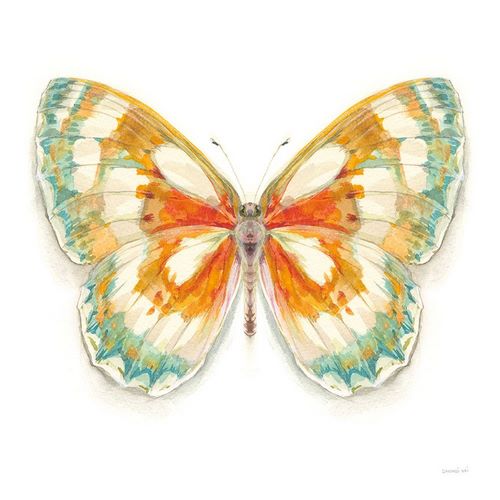 Nai, Danhui 아티스트의 Fragile Wings Butterfly II작품입니다.