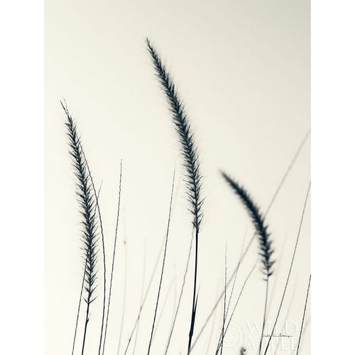 Field Grasses IV