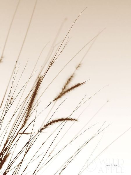 Field Grasses I Sepia