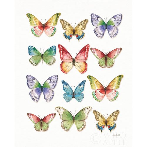 Colorful Breeze Butterflies