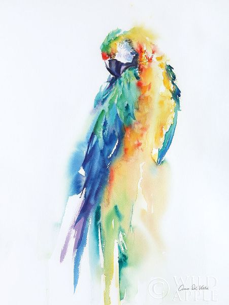 Colorful Parrots II