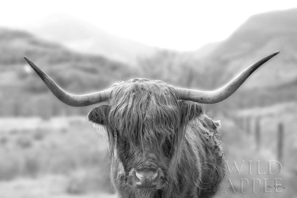 Majchrowicz, Alan 아티스트의 Scottish Highland Cattle III Neutral Crop 작품